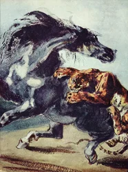 Tiger greift ein Pferd an